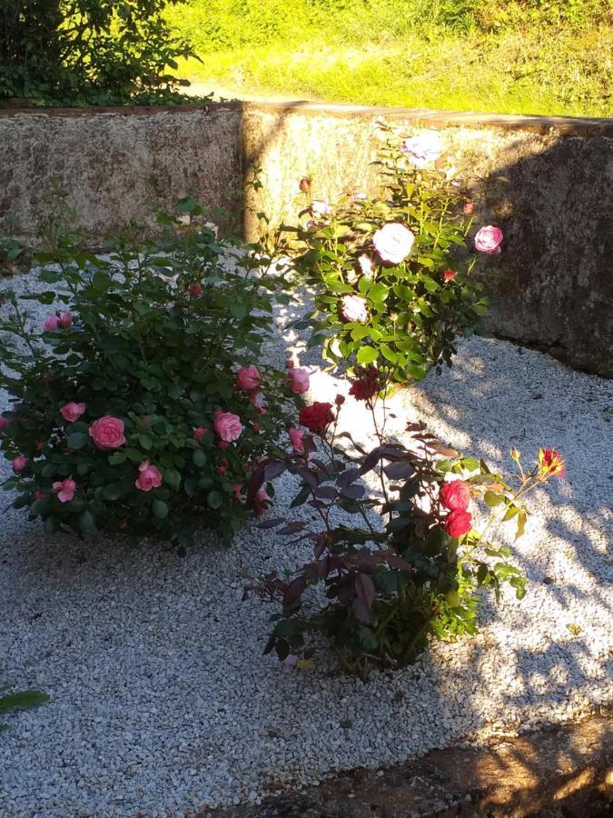 Maison Belvoir Le Fraysse エクステリア 写真